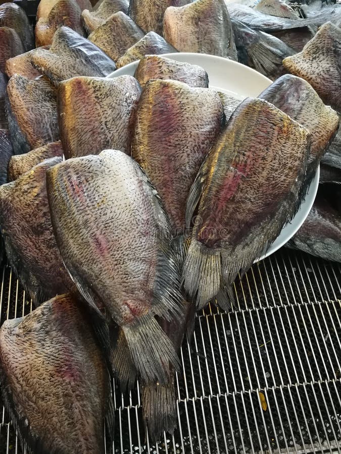 熏制的干燥鱼镶边snakehead鱼库存图片 图片包括有不同 干燥 可口 厨师 食物 烹调