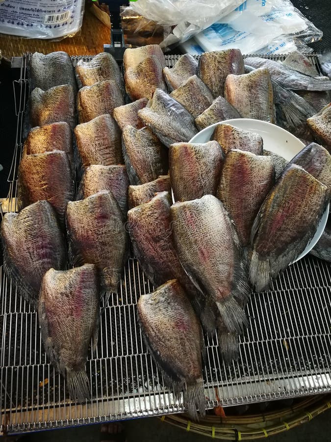 熏制的干燥鱼镶边snakehead鱼库存图片 图片包括有不同 干燥 可口 厨师 食物 烹调