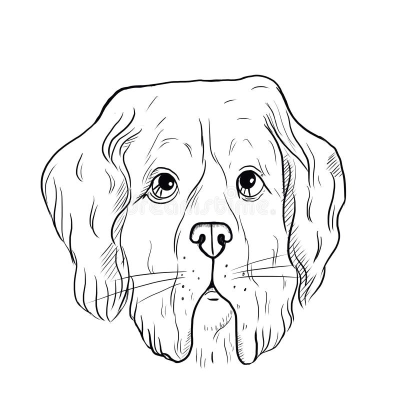 狗的插图导盲犬 残疾救助犬狗的肖像 手绘宠物图好库存例证 插画包括有看板卡 爪子