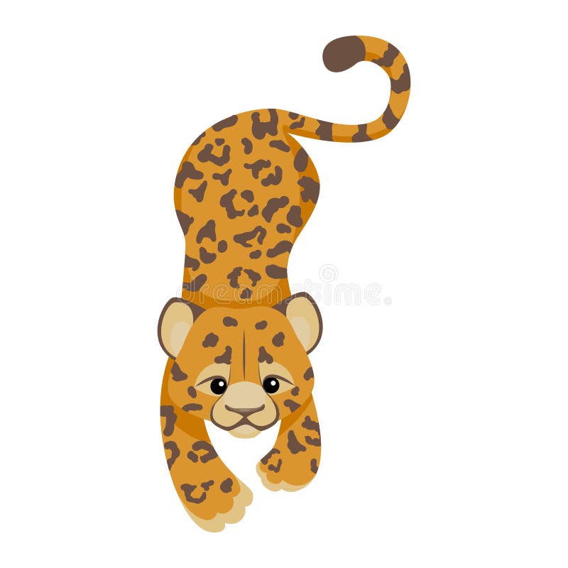 猎豹 豹或美洲豹卡通人物cute Baby Animal In Flat Style 现代时尚的纺织时尚向量例证 插画包括有密林 乱画 猎豹 豹或美洲豹卡通人物cute Baby Animal In Flat Style 现代时尚的纺织时尚向量例证 插画包括有密林 乱画