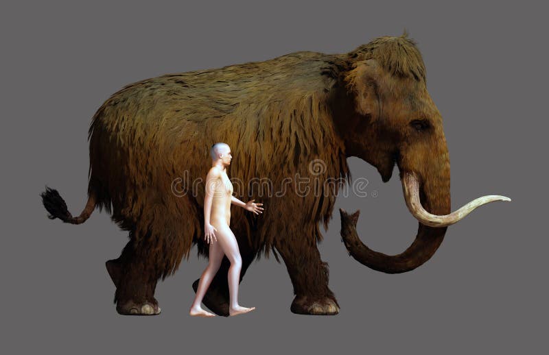 猛犸与人体尺寸比较库存例证 插画包括有题头 复活 古生物学 时代 全新世纪 上新纪 更新世