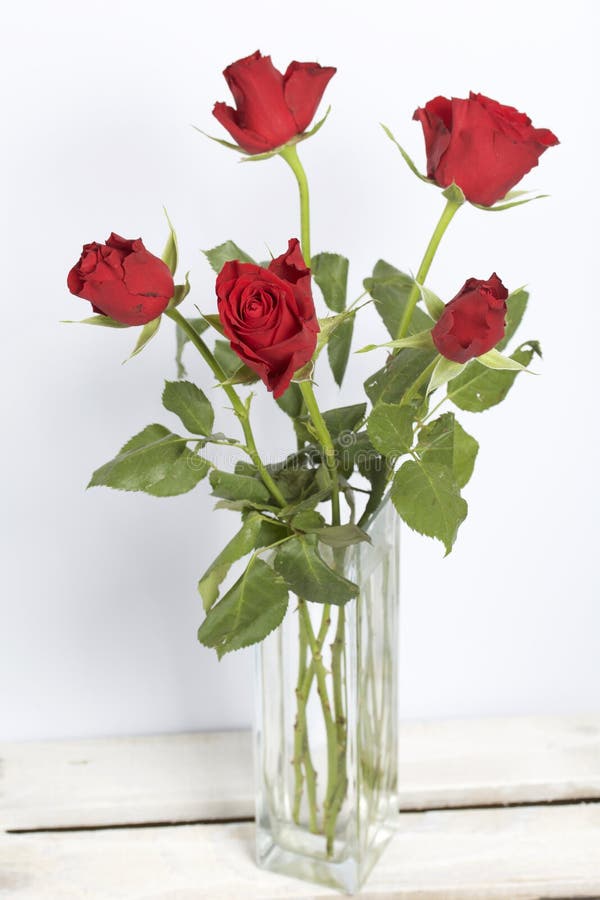 猩红色玫瑰花束在一个玻璃花瓶的五朵花在一个空白背景库存图片 图片包括有