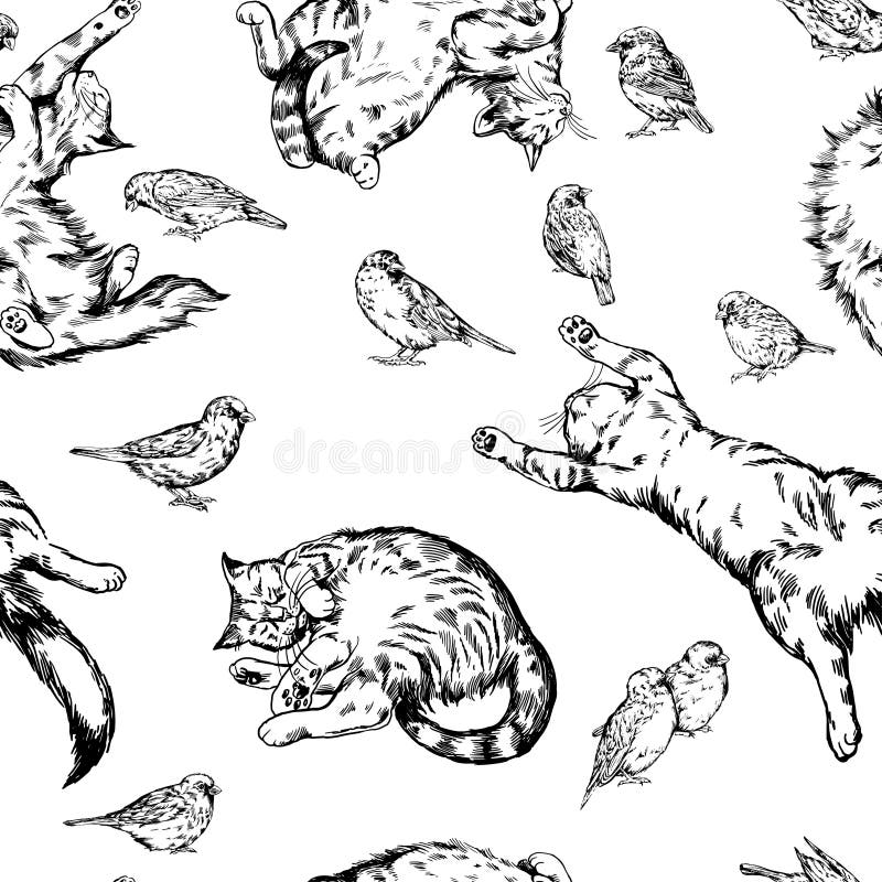 猫和雀无缝背景向量例证 插画包括有可实现 位于 墨水 宠物 现有量 放松 模式 向量 猫和雀无缝背景向量例证 插画包括有可实现 位于 墨水 宠物 现有量 放松 模式 向量