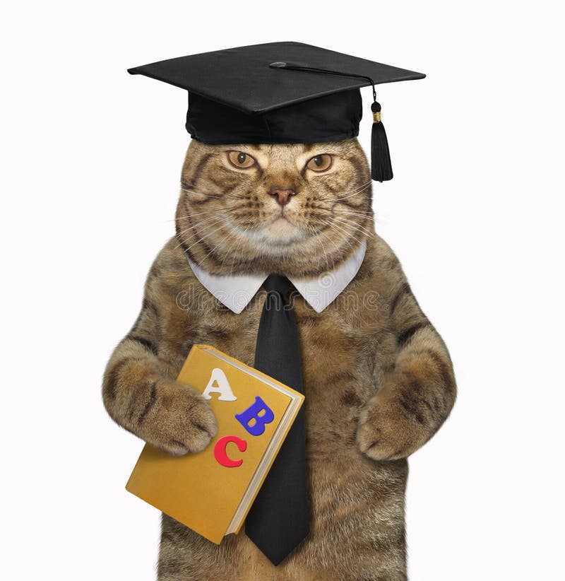 猫老师拿着一本abc书库存照片 图片包括有空白 首先 背包 讲师 学校 投反对票 教授 猫老师拿着一本abc书库存照片 图片包括有空白 首先 背包 讲师 学校 投反对票 教授