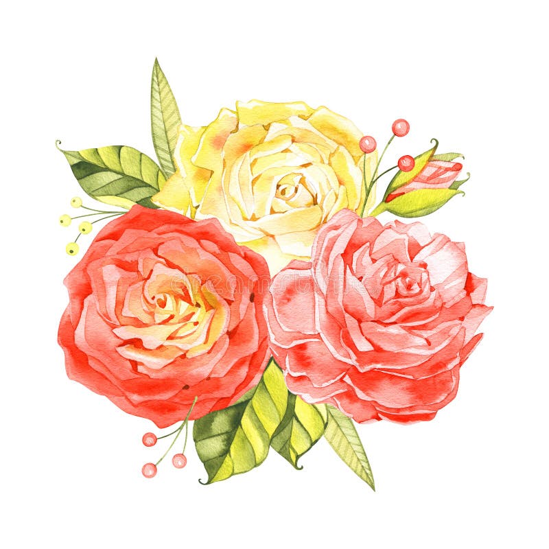 玫瑰花 水彩带包装纸的水彩玫瑰花束库存例证 插画包括有颜色 现有量 花束 创造性 粉红色