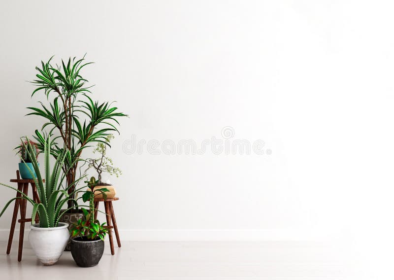 现代室内背景中的盆栽植物模型墙 沉思的时刻 北欧风格库存例证 插画包括有