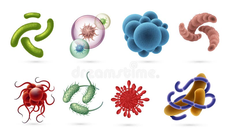 现实病毒毒菌和传染细菌细胞 微生物学对象可看见在白色隔绝的显微镜向量例证 插画包括有 现实病毒毒菌和传染细菌细胞 微生物学对象可看见在白色隔绝的显微镜向量例证 插画包括有