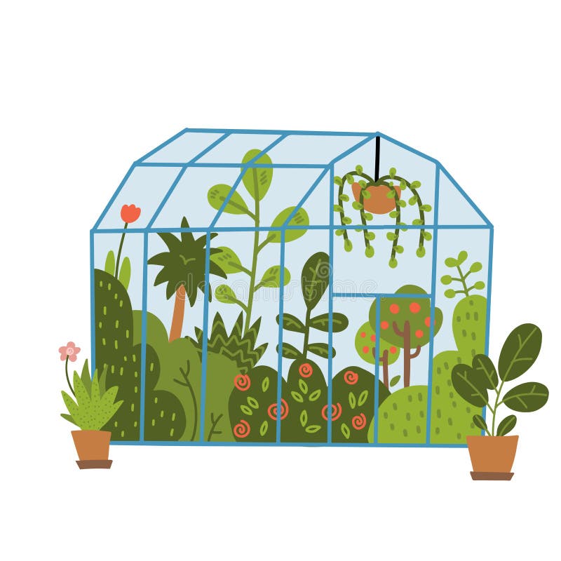 玻璃温室内盆栽植物温室或植物园家庭园艺概念现代平面库存例证 插画包括有查出 绿叶 玻璃温室内盆栽植物温室或植物园家庭园艺概念现代平面库存例证 插画包括有查出 绿叶