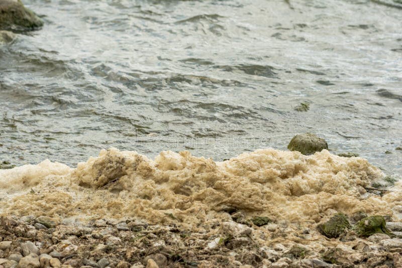 生物 藻类 细菌 瘙痒 无脊椎动物和真菌的集合体将组件转换为泡沫库存图片 图片包括有将组件转换为泡沫 生物 藻类 细菌 瘙痒 无脊椎动物和真菌的 集合体 生物 藻类 细菌 瘙痒 无脊椎动物和真菌的集合体将组件转换为泡沫库存图片 图片包括有将组件转换为泡沫 生物 藻类 细菌 瘙痒 无脊椎动物和真菌的 集合体