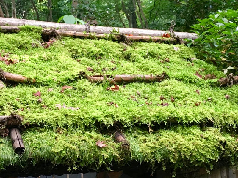 生苔屋顶在京都库存照片 图片包括有生苔屋顶在京都