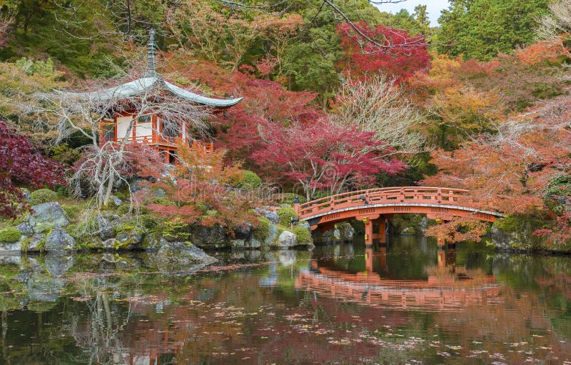 美丽的日本庭院在京都 日本库存图片 图片包括有风景 槭树 叶子 东方 公园 日语 自然