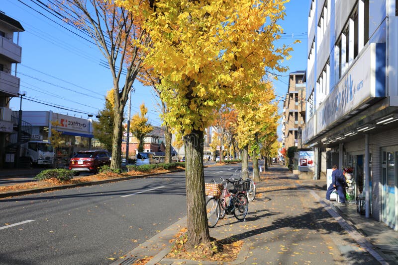 白川町dori在gion区在晚上 京都 日本库存照片 图片包括有室外 运河 路面 道路 透视图 白川町dori在gion区在晚上 京都 日本库存照片 图片包括有室外 运河 路面 道路 透视图