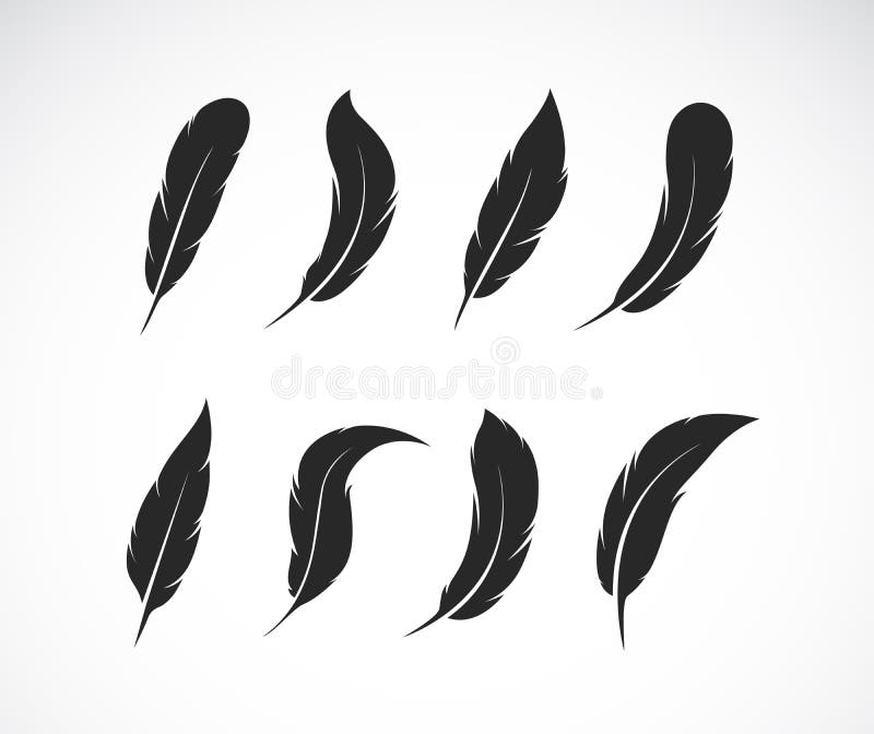 白背景中黑羽的矢量组易于编辑的分层矢量图向量例证 插画包括有羽毛 反气旋 图画 对象 图象