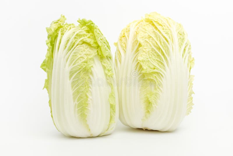 白背景大白菜库存照片 图片包括有新鲜 汉语 蔬菜 圆白菜 特写镜头 本质 成份 酥脆 白背景大白菜库存照片 图片包括有新鲜 汉语 蔬菜 圆白菜 特写镜头 本质 成份 酥脆