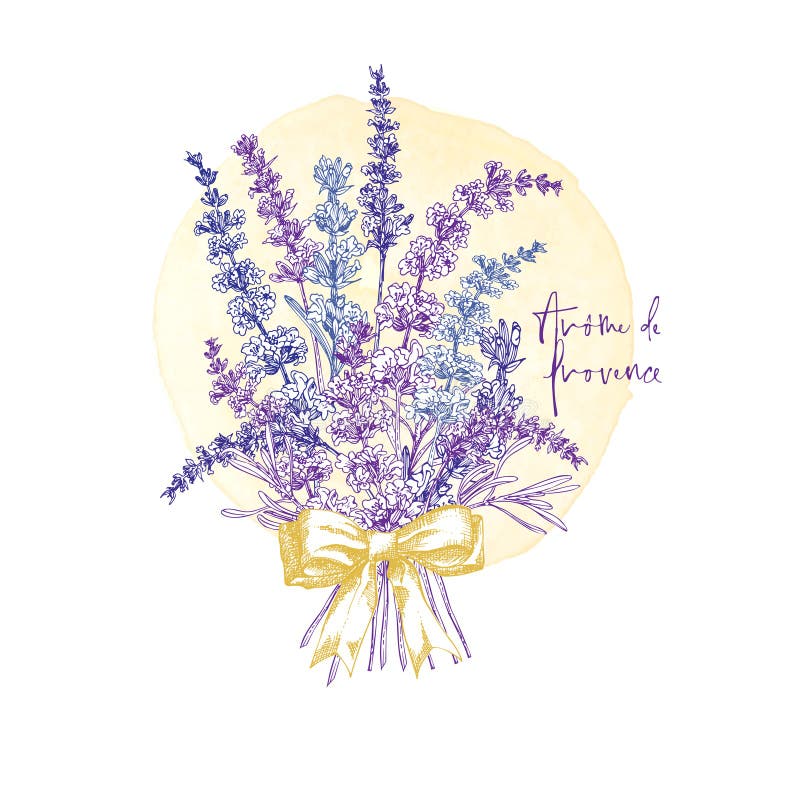 白色背景上淡紫色花与小弓手绘草图的可爱卡法国复古模式向量例证 插画包括有看板卡 玻色子