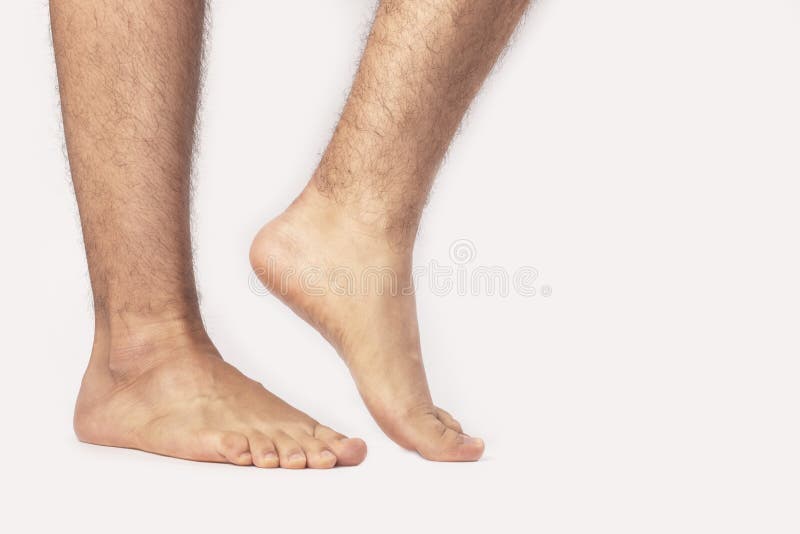 一只成年男性天鹅的脚库存图片 图片包括有 一只成年男性天鹅的脚库存图片 图片包括有