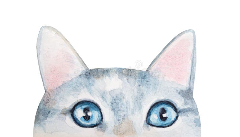 白色背景中可爱小猫的水彩素描库存例证 插画包括有背包 日程表 似猫 图画 前面 滑稽 白色背景中可爱小猫的水彩素描库存例证 插画包括有背包 日程表 似猫 图画 前面 滑稽