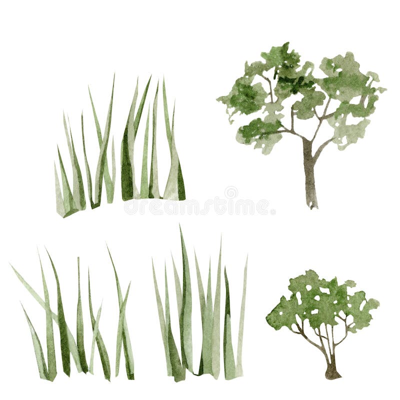白色背景中森林水彩景观树草手绘插图野生动物库存例证 插画包括有问候 生态 颜色 开花 绿色