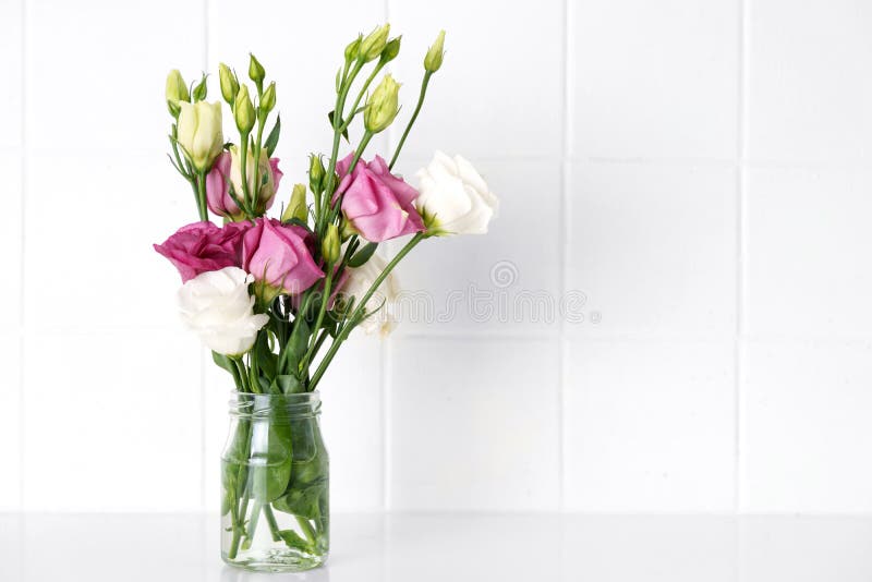 白色背景中的紫白花瓶库存图片. 图片包括有开花, 花束, 绽放, 花卉, 五颜六色, 绿色, 礼品- 179620273
