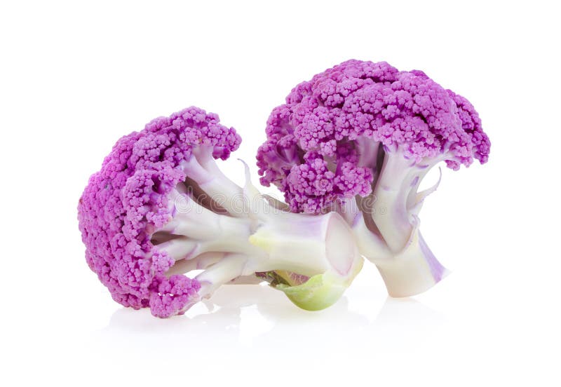 白色背景中的紫花椰菜花库存照片 图片包括有原始 生气勃勃 健康 蔬菜 紫色 紫罗兰色