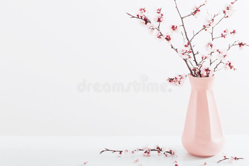 白色背景中的花瓶樱花枝库存图片 图片包括有生活 季节 春天 任意 本质 叶子 复活节