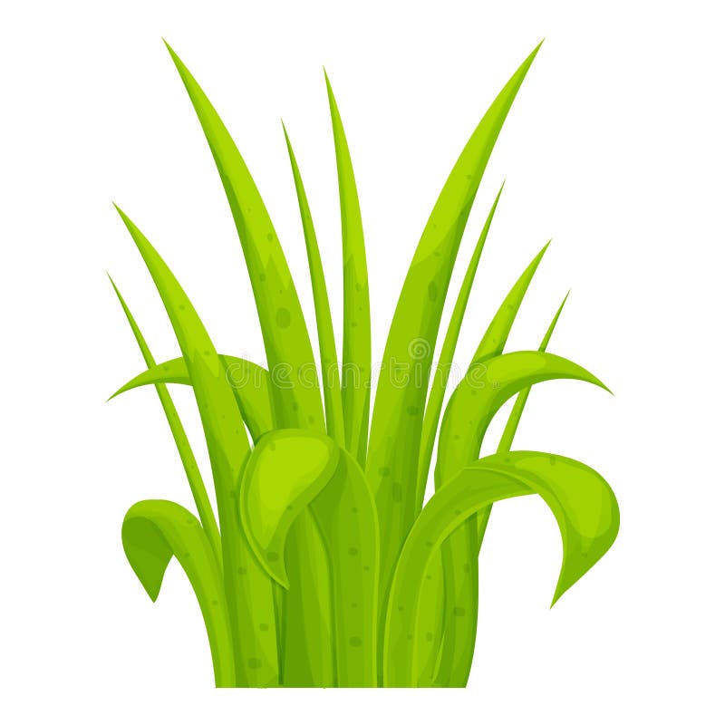 白色背景中突显的卡通风格亮草本绿草 季节天然野生植物设计元素游戏资产向量例证 插画包括有颜色 植物群