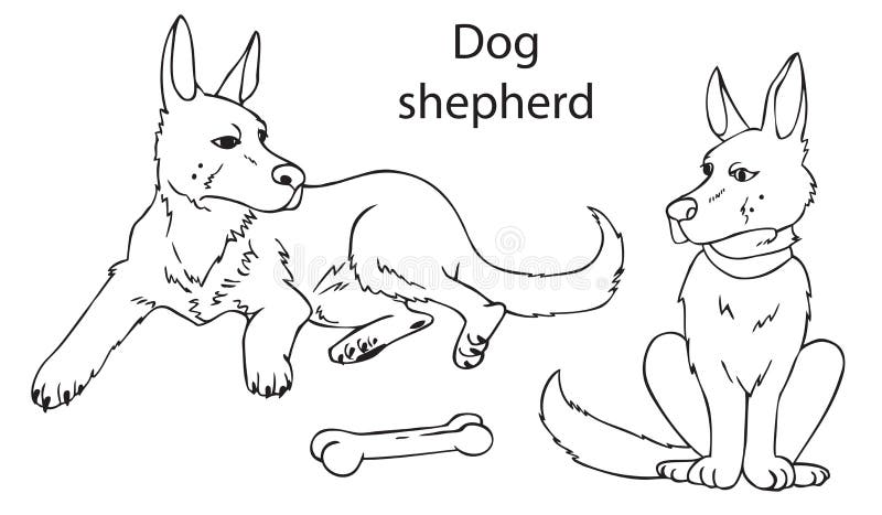 白色背景的狗德国牧羊犬向量例证 插画包括有国内 背包 例证 德语 宠物 向量 空白 牧羊人 白色背景的狗德国牧羊犬向量例证 插画包括有国内 背包 例证 德语 宠物 向量 空白 牧羊人
