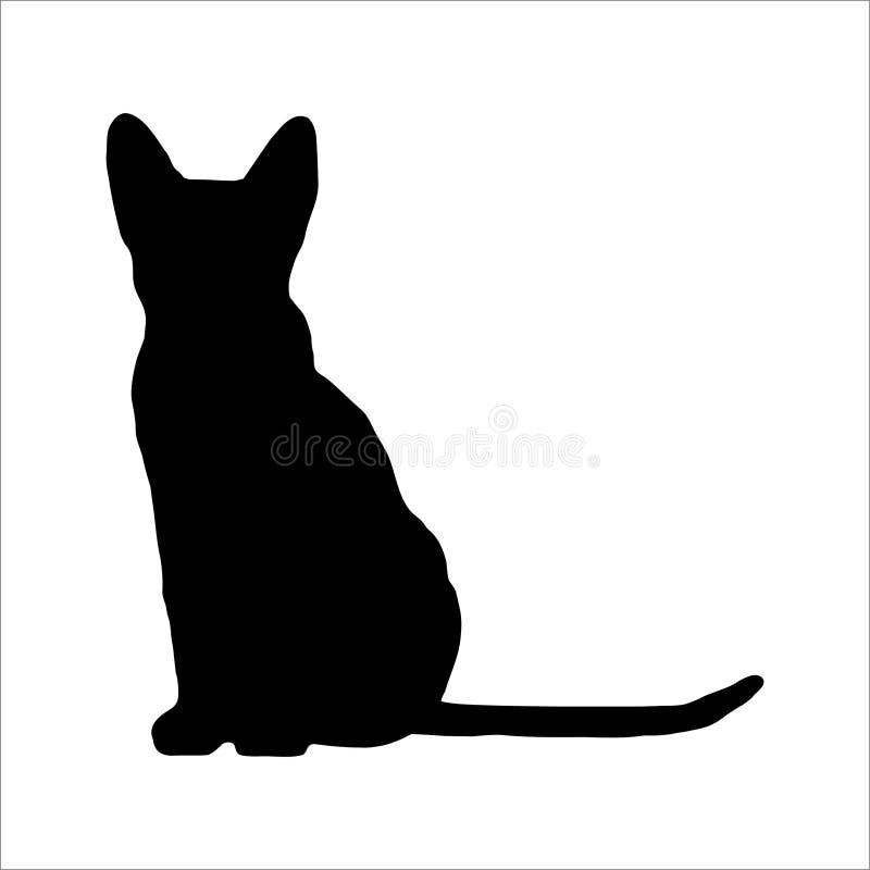 白色背景色的黑色猫影向量例证 插画包括有 白色背景色的黑色猫影向量例证 插画包括有