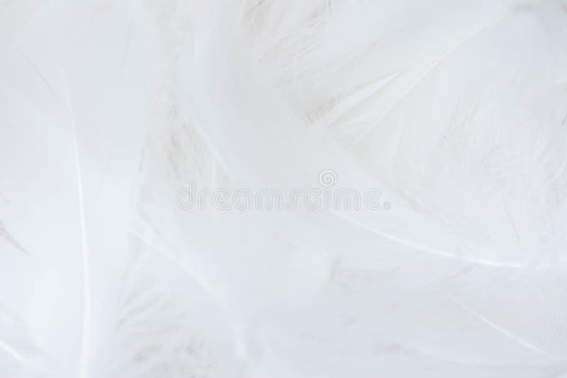 颜色趋向背景蓝色白色抽象几何背景库存图片 图片包括有线路 构成 抽象 模式 方式 简单派 颜色趋向背景蓝色白色抽象几何背景库存图片 图片包括有线路 构成 抽象 模式 方式 简单派