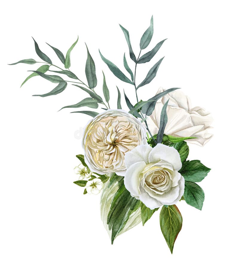 白花束 玫瑰和叶子 手工绘制库存例证 插画包括有图画 背包 绿色 看板卡 开花 叶子