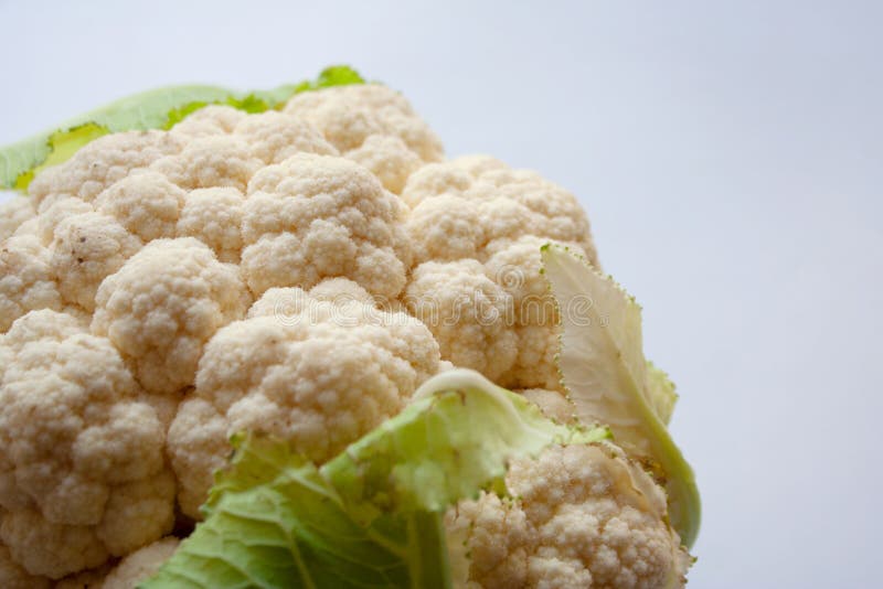 白花菜头特写库存照片 图片包括有膳食 花椰菜 详细资料 凝乳 背包 最小 美食 可食