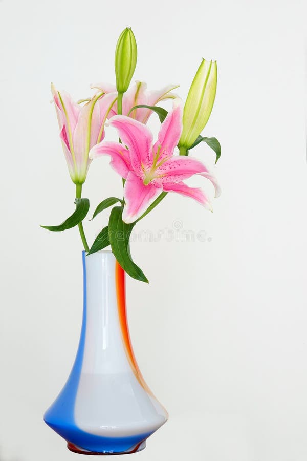 百合和花瓶库存照片 图片包括有粉红色 生动 异常地 花瓣 用花装饰 花束 花瓶 庭院