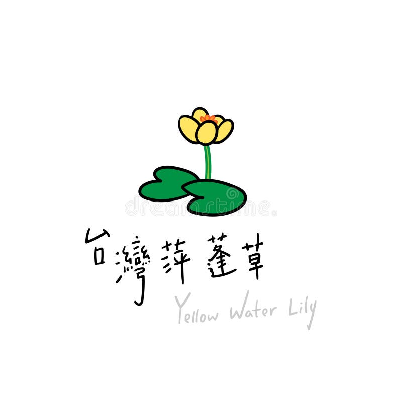 矢量图手绘黄百合向量例证 插画包括有黄色 台湾 百合 称谓 向量 种类 现有量 英语 矢量图手绘黄百合向量例证 插画包括有黄色 台湾 百合 称谓 向量 种类 现有量 英语