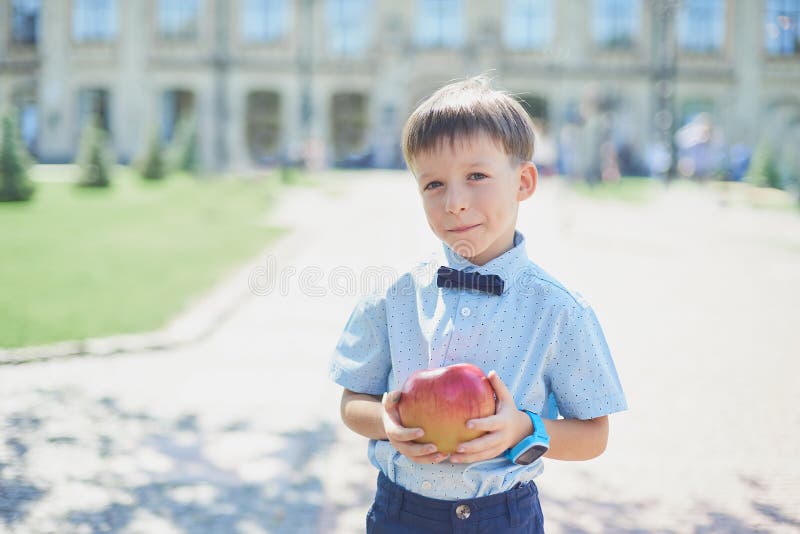 背景学校中美少年画像库存照片 图片包括有 背景学校中美少年画像库存照片 图片包括有