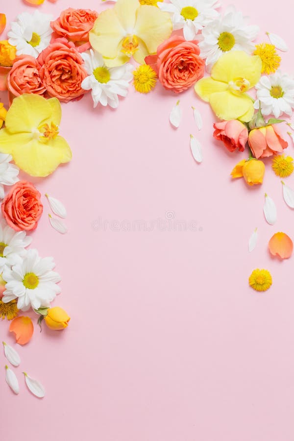 粉红色纸张背景中的花图案库存图片 图片包括有言情 国界的 开花的 新鲜 纸张 构成 看板卡