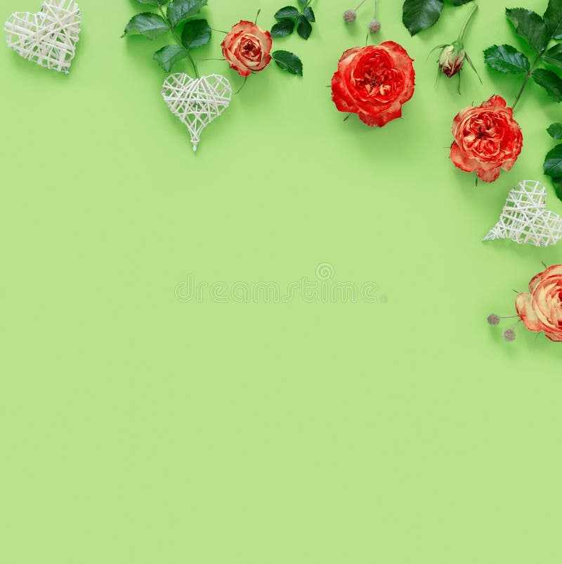 精致的绿纸背景中 有创意的花朵图案的美丽红色玫瑰 柳条心库存图片 图片包括有创造性 生日