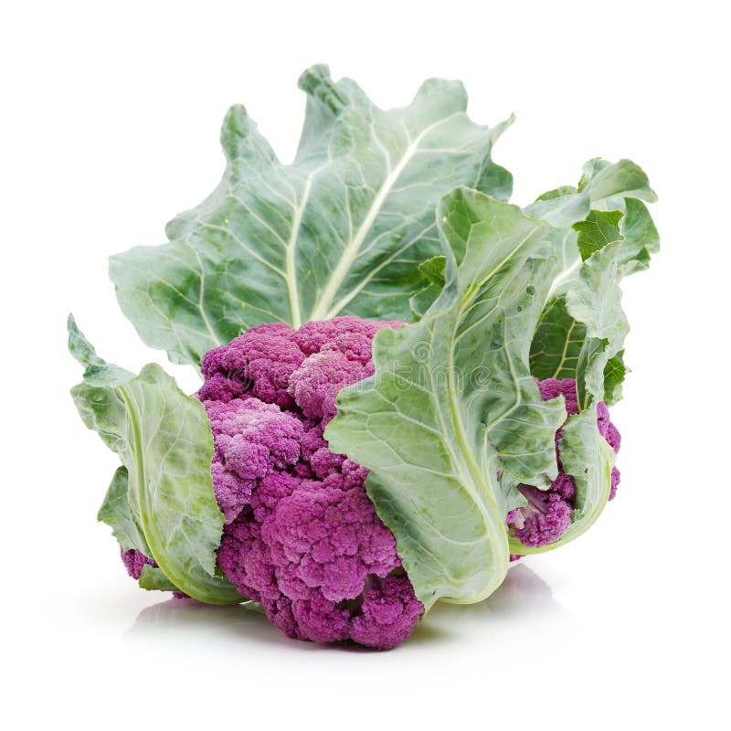 紫色花椰菜库存照片 图片包括有关闭 紫色 可食 详细资料 食物 查出 庭院 圆白菜