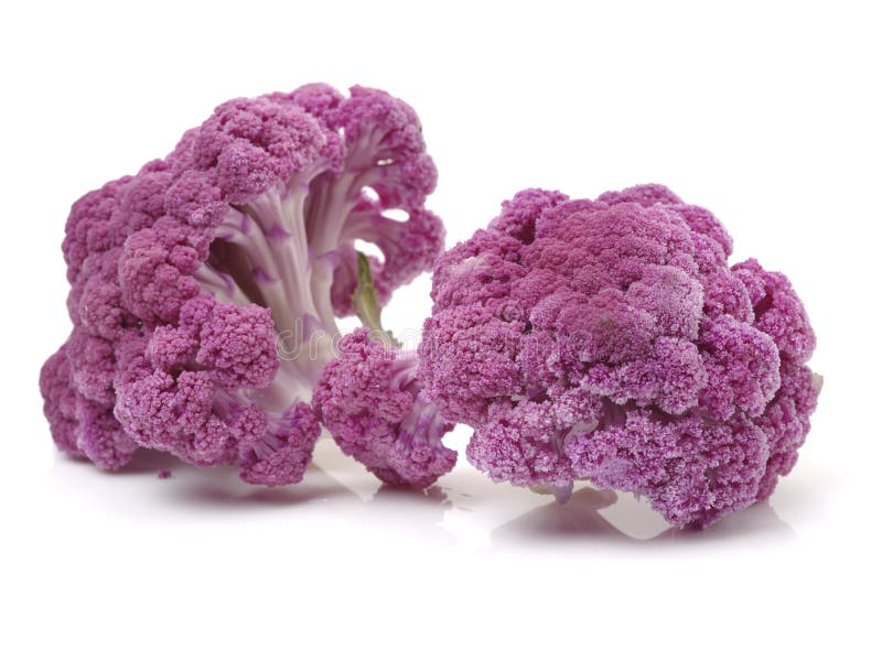 紫色花椰菜库存照片 图片包括有关闭 紫色 可食 详细资料 食物 查出 庭院 圆白菜