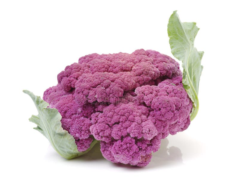 紫色花椰菜库存照片 图片包括有背包 空白 食物 饮食 圆白菜 紫色 花椰菜 可食