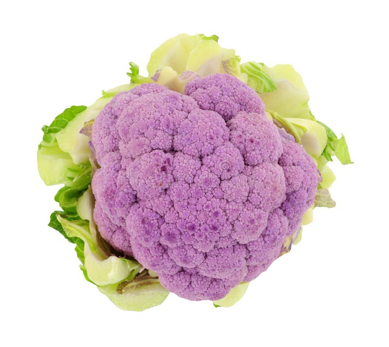 紫花菜库存图片 图片包括有产物 花椰菜 健康 不同 素食主义者 小花 修整 紫色