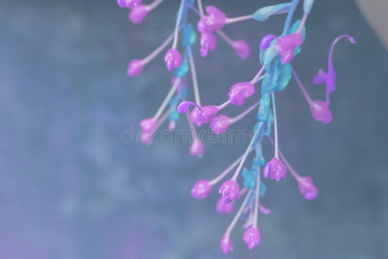 紫蓝花春天性壁纸背景库存图片 图片包括有草甸 首先 风信花 艺术 紫红色 颜色 装饰 紫蓝花春天性壁纸背景库存图片 图片包括有草甸 首先 风信花 艺术 紫红色 颜色 装饰
