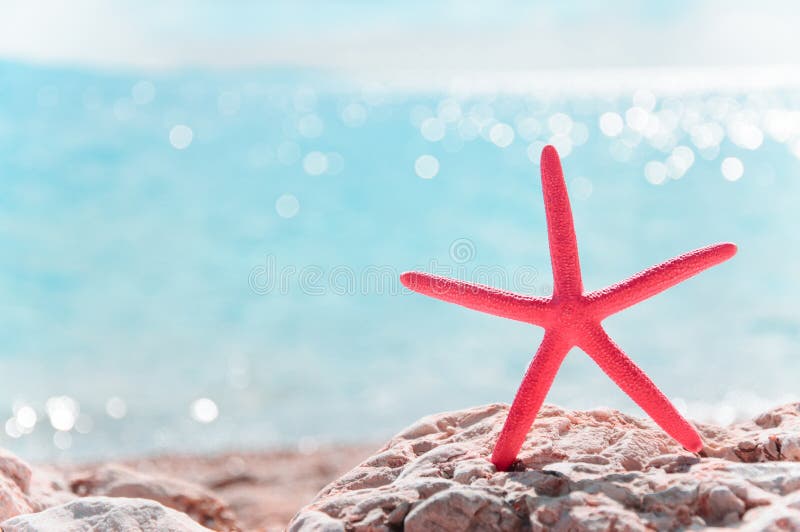 红色海星和海景色夏天背景库存图片 图片包括有岩石 放松 生活 季节 场面 星形 蓝色