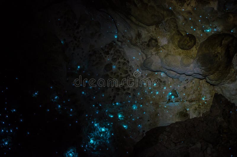 纽西兰北岛北岸外埔石窟中闪光的夜光虫库存照片 图片包括有纽西兰北岛北岸外埔石窟中闪光的夜光虫