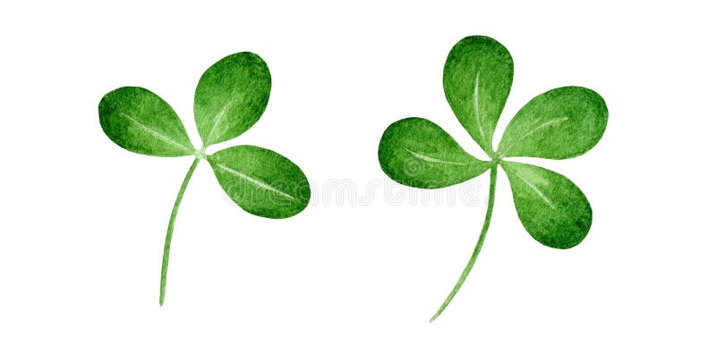 绿色三叶草植物水色插图single Hand Drawn Natural Herb Image 四叶草 运气符号三叶草库存例证 插画包括有例证 运气 绿色三叶草植物水色插图single Hand Drawn Natural Herb Image 四叶草 运气符号三叶草库存例证 插画包括有例证 运气