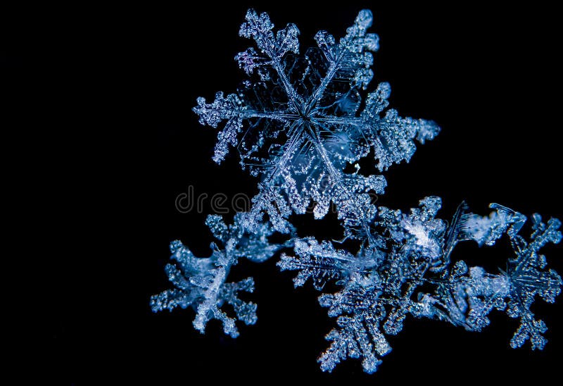 美丽的雪花库存照片 图片包括有冻结 关闭 本质 结晶 单个 模式 雕塑 雪花 风暴