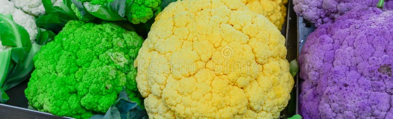 美国华盛顿农贸市场的白色 绿色 黄色和紫色花椰菜头库存图片 图片包括有五颜六色 顶上 营养