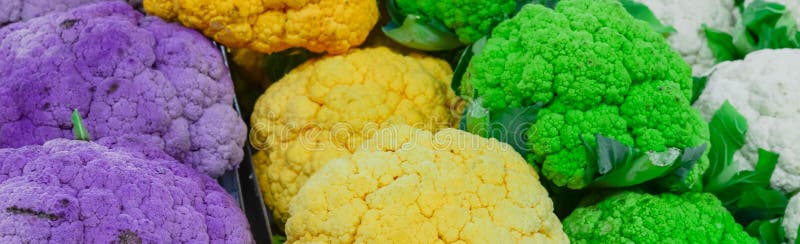 美国华盛顿农贸市场的白色 绿色 黄色和紫色花椰菜头库存图片 图片包括有五颜六色 顶上 营养