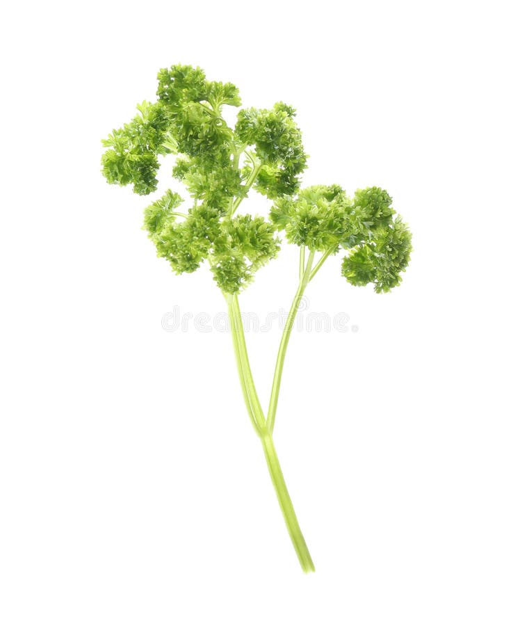 在桌上的绿色羽衣甘蓝叶子库存图片 图片包括有 在桌上的绿色羽衣甘蓝叶子库存图片 图片包括有