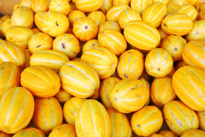 Koreana Melon 库存照片 图片包括有点心 黄色 没人 食物 工作室 外出 甜瓜