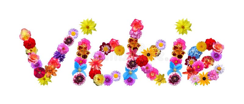 花名字vickie 库存例证 插画包括有